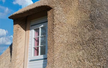 Felderland thatch roof disadvantages